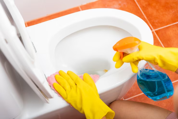 toilet cleaning